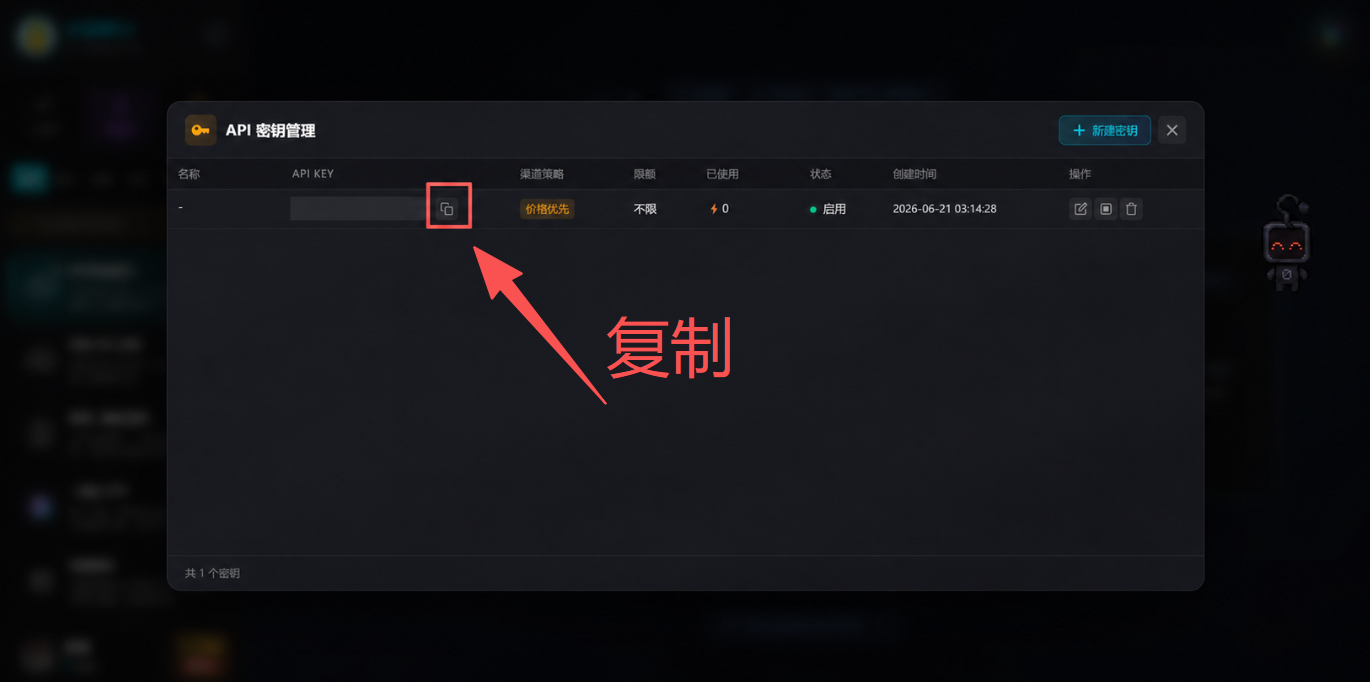 步骤6:复制已经打码的 API Key 示例